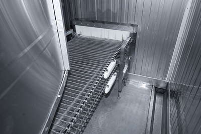 1,500 kg/h Quick Freezing Project for Poultry in Guangxi, China