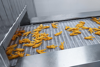 1,500 kg/h Quick Freezing Project for Poultry in Guangxi, China