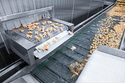 1,500 kg/h Quick Freezing Project for Poultry in Guangxi, China