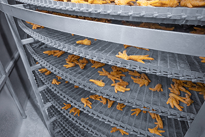 1,500 kg/h Quick Freezing Project for Poultry in Guangxi, China