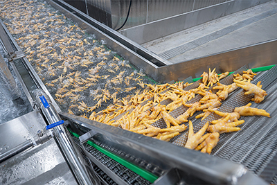 1,500 kg/h Quick Freezing Project for Poultry in Guangxi, China