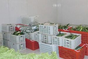 ตัวอย่างของห้องเย็นแบบเดินเข้าไปได้