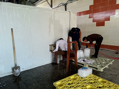 CBFI-โรงงานน้ำแข็งหลอดขนาด20ตันในอิหร่าน