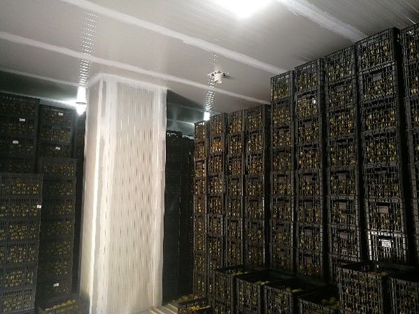 ตัวอย่างโครงการ
