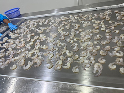  เครื่องแช่แข็งด่วนชนิดอุโมงค์สำหรับกุ้งแช่แข็งในประเทศไทย